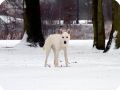 TAMASKAN14